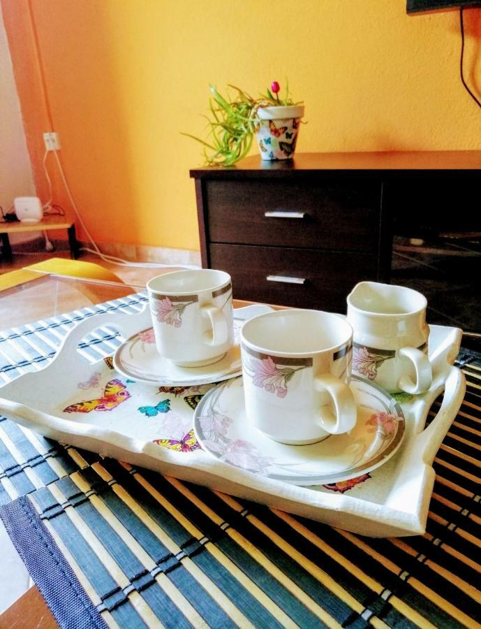 Apartments Pasha ブラガイ エクステリア 写真